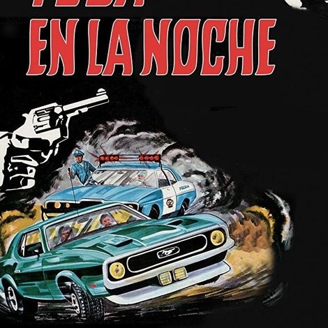 Fuga en la noche