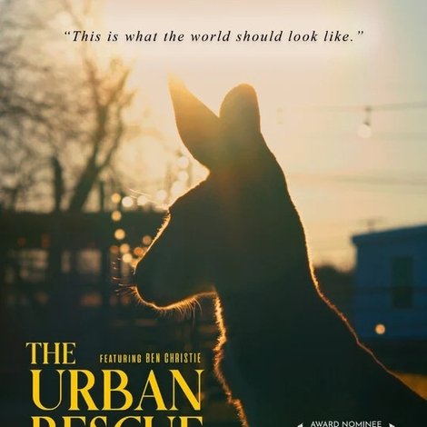 The Urban Rescue Ranch