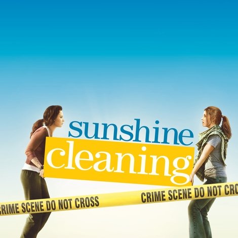 Sunshine Cleaning