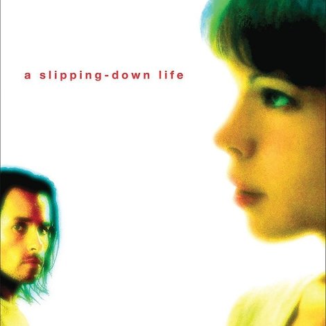 A Slipping Down Life