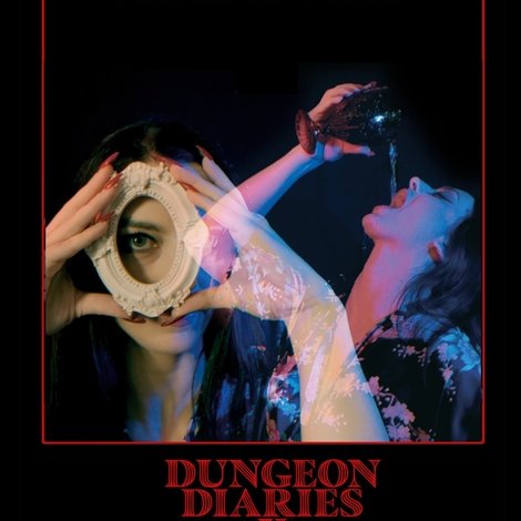 Dungeon Diaries X