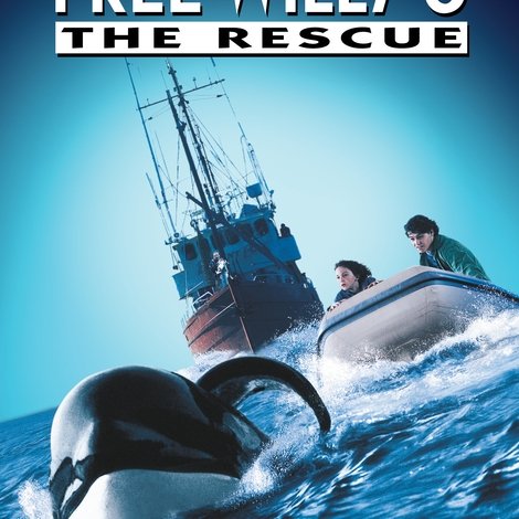 Free Willy 3: The Rescue