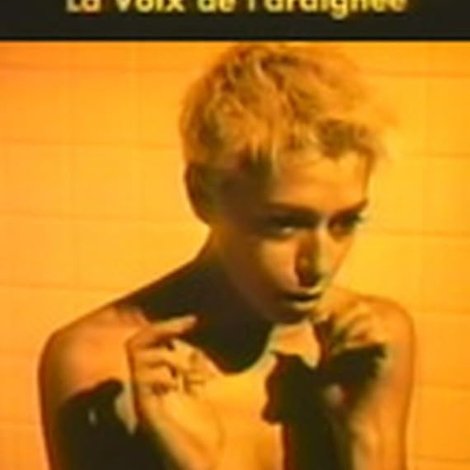 La voix de l'araignée