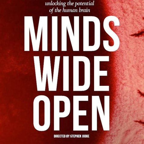 Minds Wide Open: unlocking the potential of the human brain