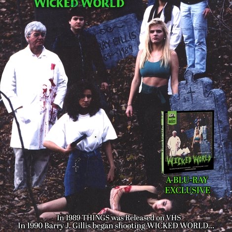 Reality Behind the Scenes of Wicked World