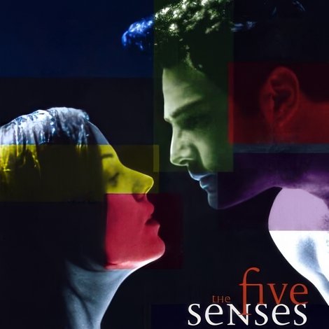 The Five Senses