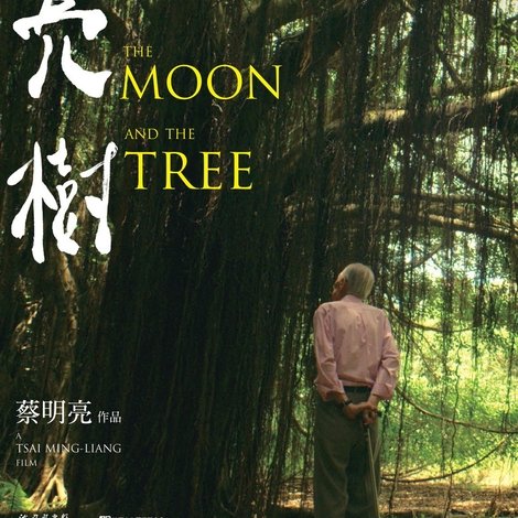 月亮 樹