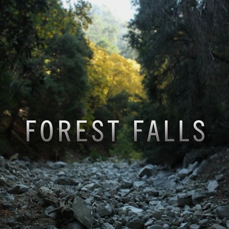 Forest Falls
