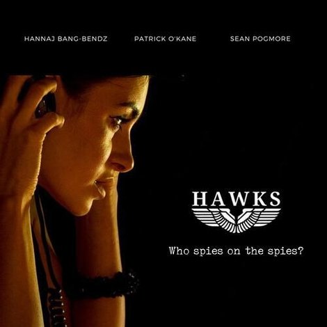 Hawks