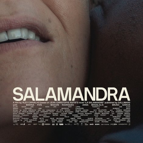 Salamandra