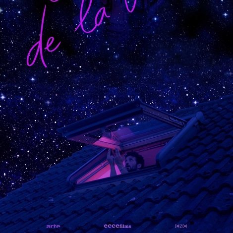 Le sang de la veine