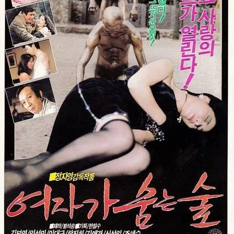 여자가 숨는 숲