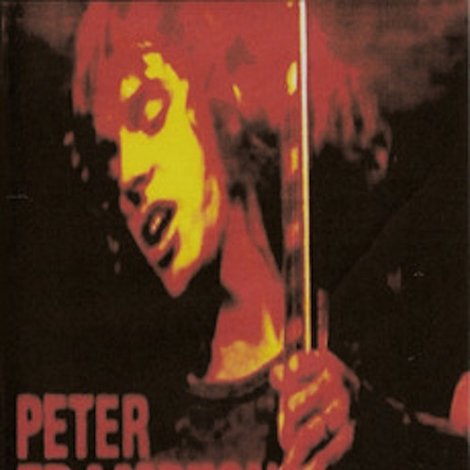 Peter Frampton: Live In Brazil