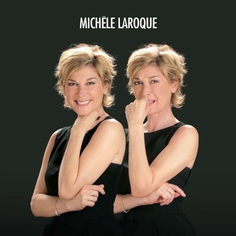Michèle Laroque : Mon brillantissime divorce