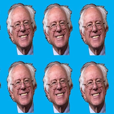 Longshot... The Biopic of Senator Bernie Sanders Campaign 2016 for POTUS