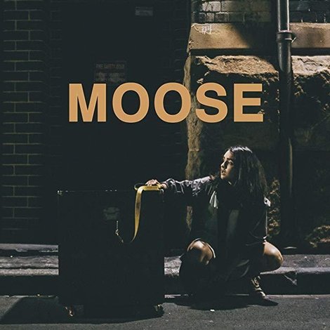Moose