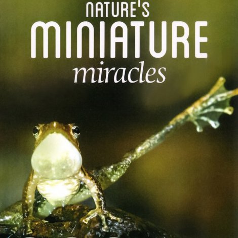 Nature's Miniature Miracles