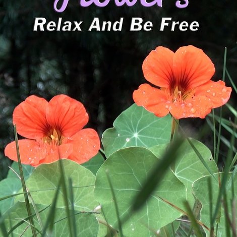 Flowers: Relax and Be Free