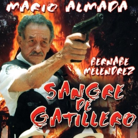Sangre De Gatillero