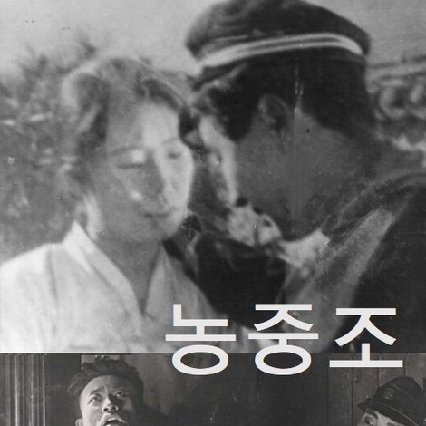 농중조