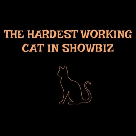 The Hardest Working Cat in Showbiz