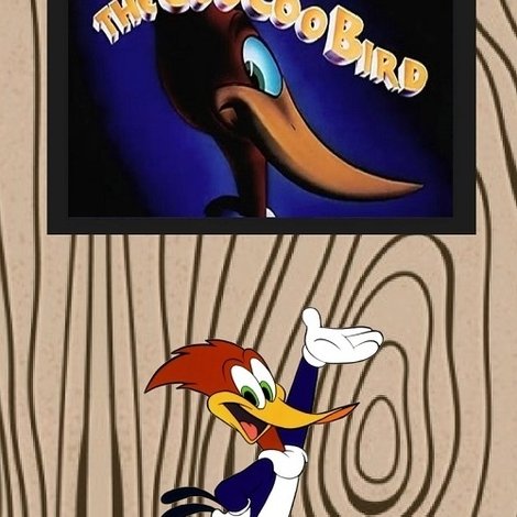 The Coo Coo Bird