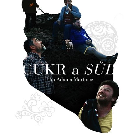 Cukr a sůl