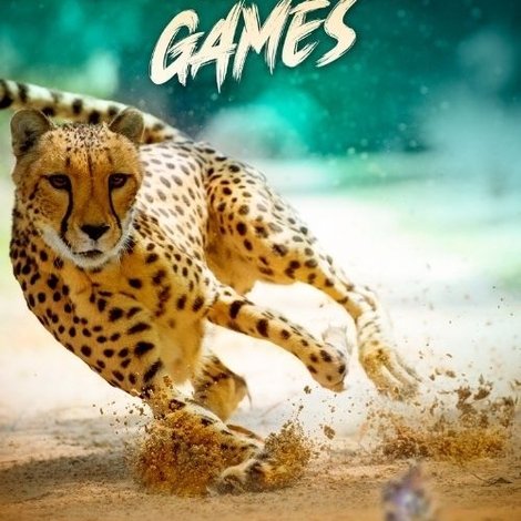 Big Cat Games