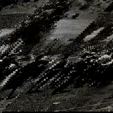 The Invaders
