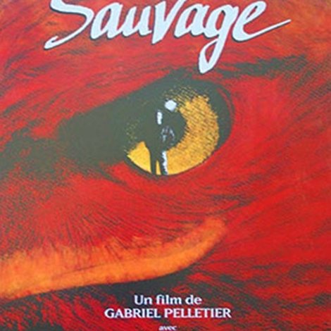 L'automne sauvage