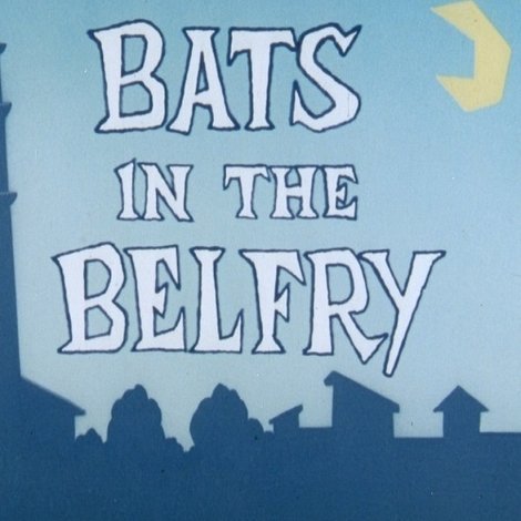 Bats in the Belfry