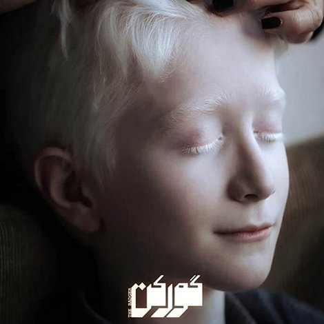 گورکن
