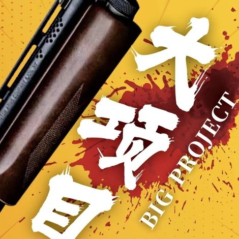 大项目