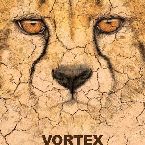 Vortex