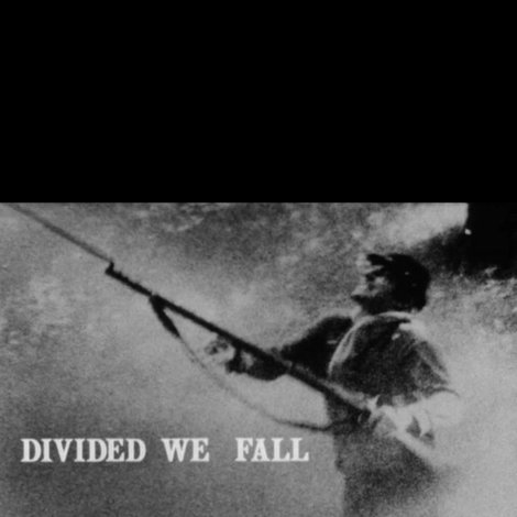 Divided We Fall