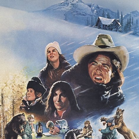 The Further Adventures of the Wilderness Family