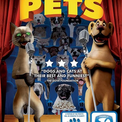 The Funny Life of Pets