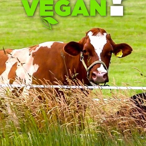 Gut, besser, vegan?