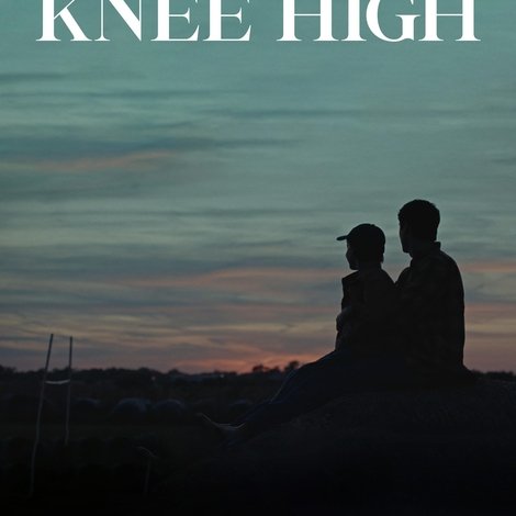 Knee High