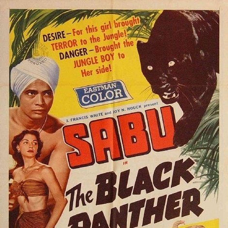 The Black Panther
