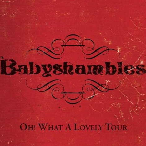Oh! What a Lovely Tour - Babyshambles Live