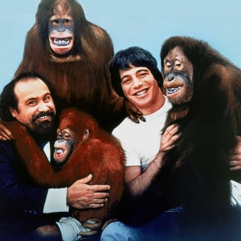 Going Ape!