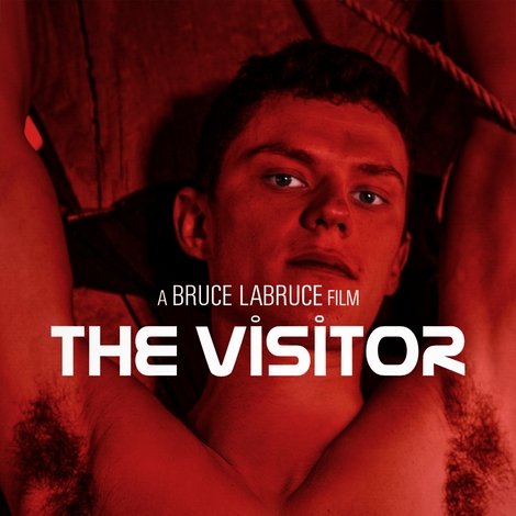 The Visitor