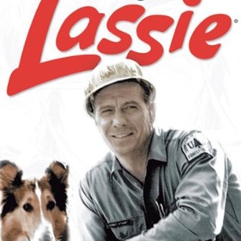 Lassie and the Flight of the Cougar