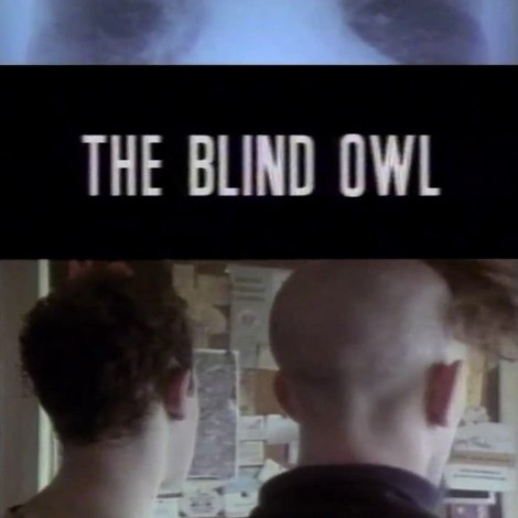 The Blind Owl
