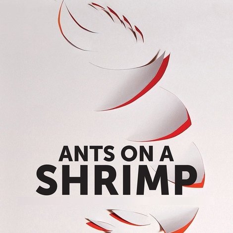 Ants on a Shrimp