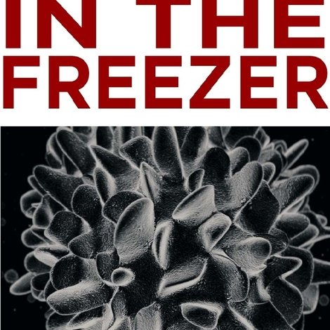 Demon in the Freezer