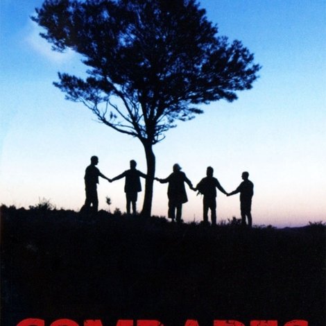 Comrades