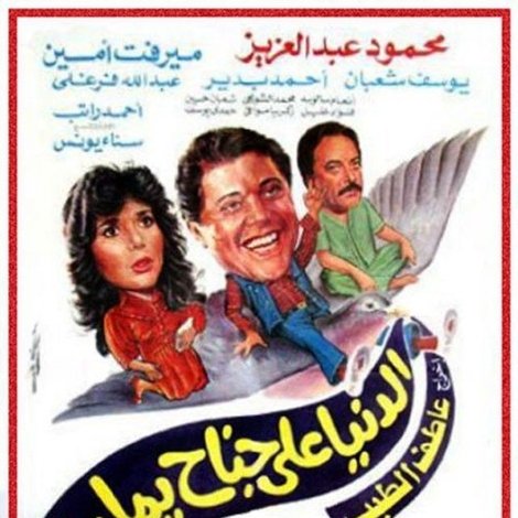 الدنيا على جناح يمامة