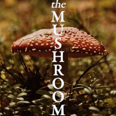 The Mushroom